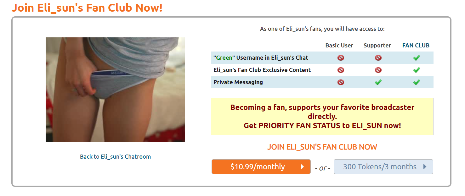 Fan Club Subscriptions - Webcam Business Monetization Method