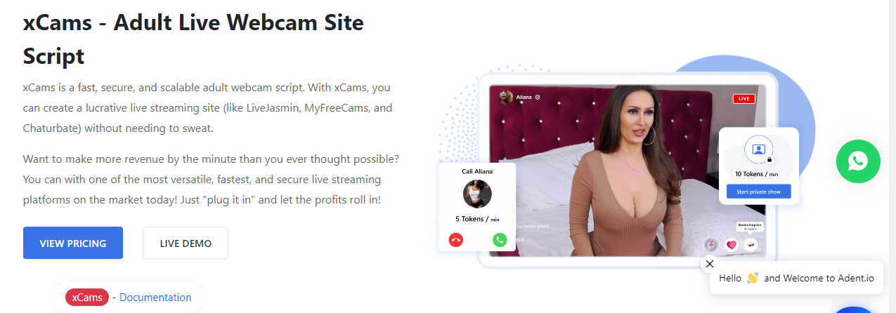 xCams by Adent - Best Adult Cam Software